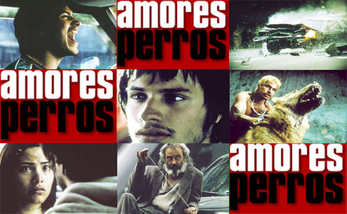 amores perros soundtrack. Amores Perros pictures on the