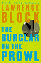block-the-burglar-on-the-prowl.jpg