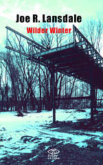 Lansdale-wilder-winter.jpg